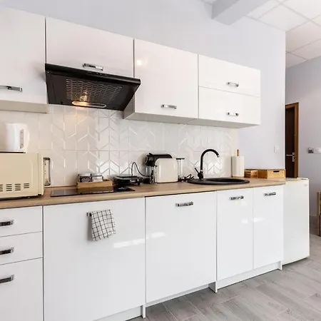 Shick Apartment